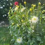 Apartamento Bajka