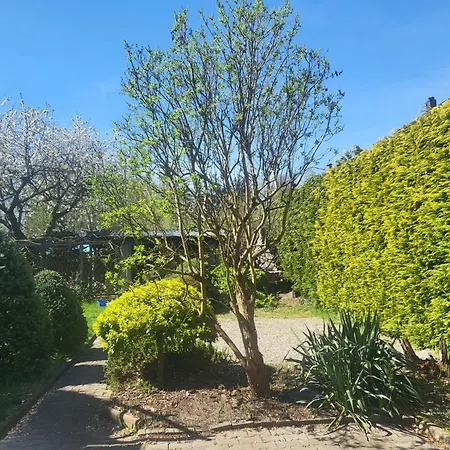 Bajka * 博莱斯瓦维茨